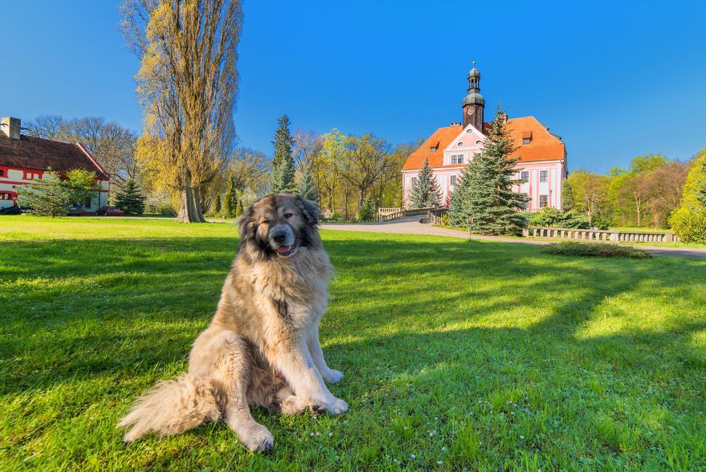 Boutique Palac Warmatowice Sienkiewiczowskie Legnica Bagian luar foto